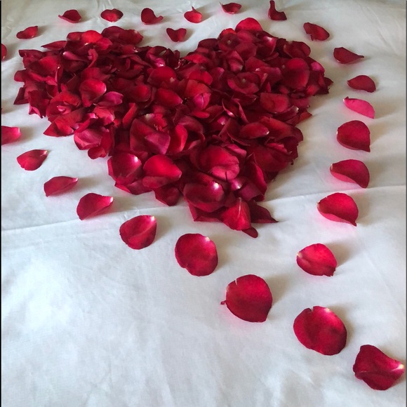 Meet your Posher, Caryn - Picture 1 of 1